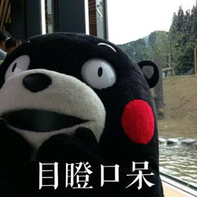 秘鲁神兽来袭，能给你的绝不只是表情包