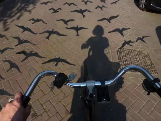 找老公的800条标准,找男朋友的800个标准