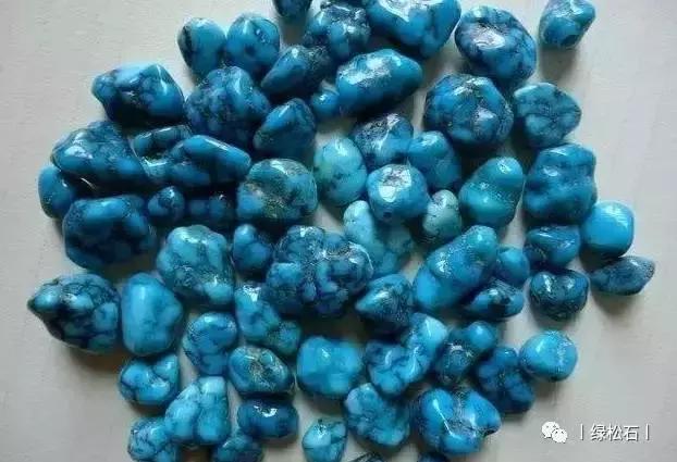 湖北松菌最多的地方,湖北松是什么意思