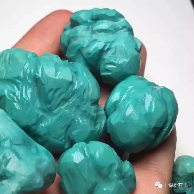 湖北松菌最多的地方,湖北松是什么意思