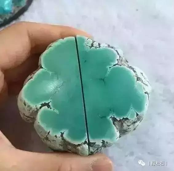 湖北松菌最多的地方,湖北松是什么意思