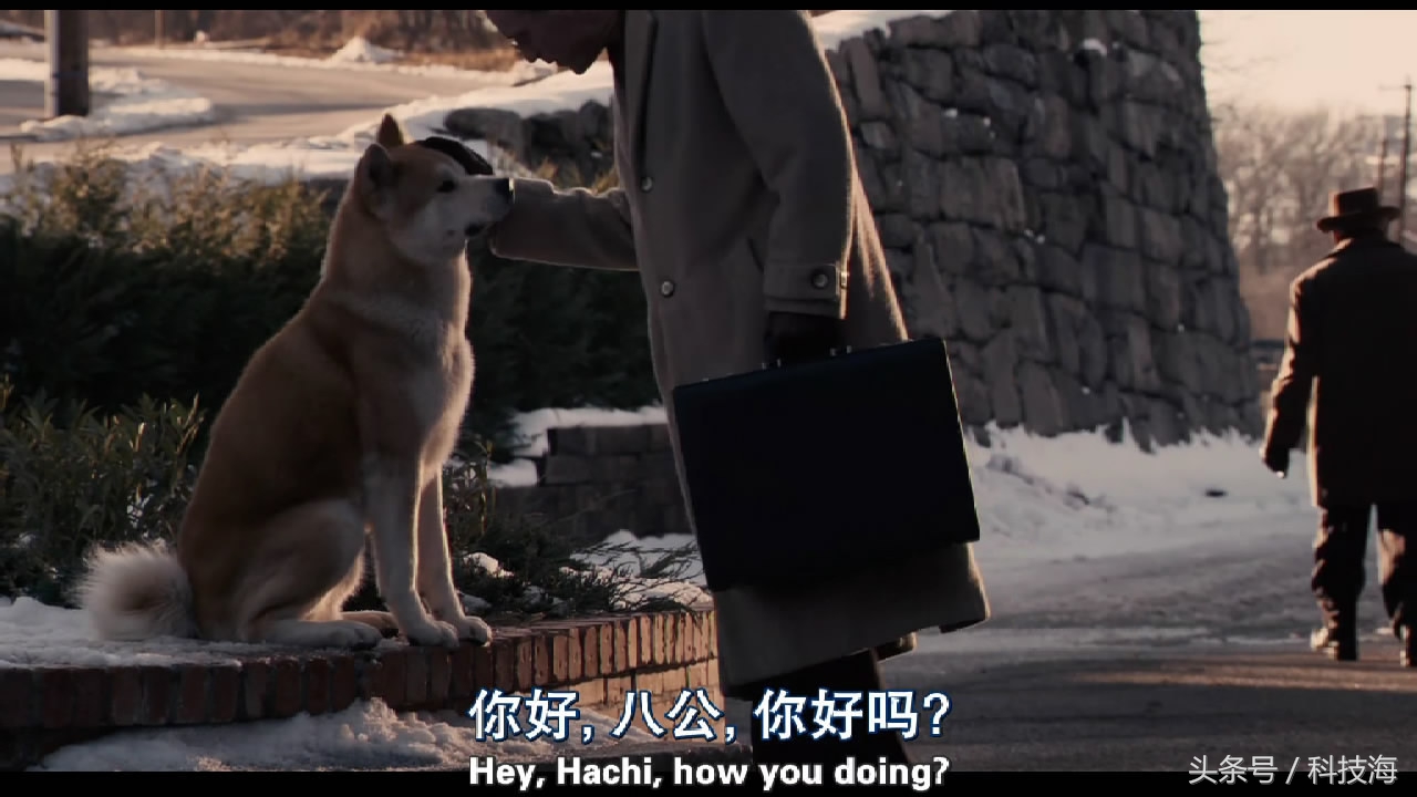 全球公认的100部最好看的电影,今日电影推荐哪几部值得看