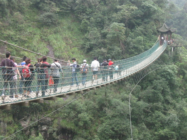 武义牛头山森林公园爬山,武义牛头山国家森林公园玻璃栈道