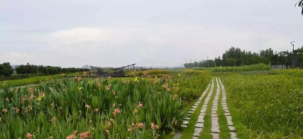 珠海夏日清凉避暑胜地,珠海凉爽的地方