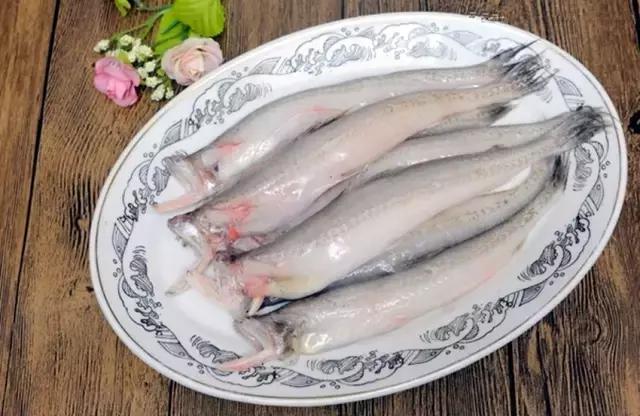 《一啸渔乐》常见的海鱼你认识多少?