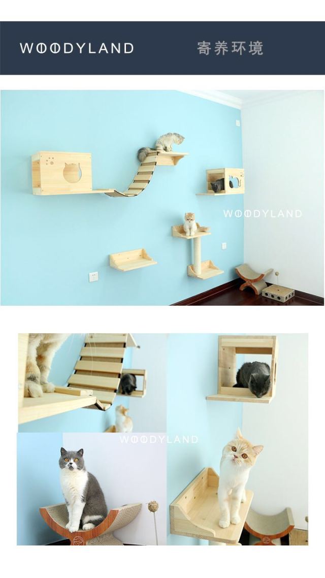 全家邮轮上一起游玩,全家一起游准备什么