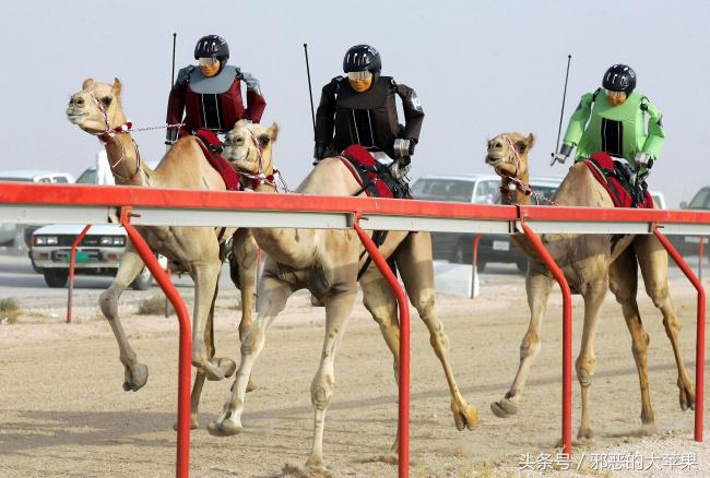 关于迪拜的几件事,迪拜最难以置信的事实