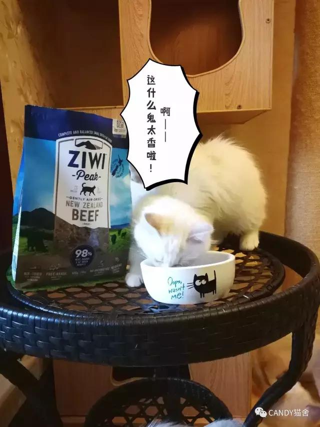 体验报告,猫生烘焙猫粮测评