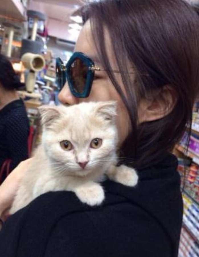 娱乐圈明星胡歌,娱乐圈男明星胡歌