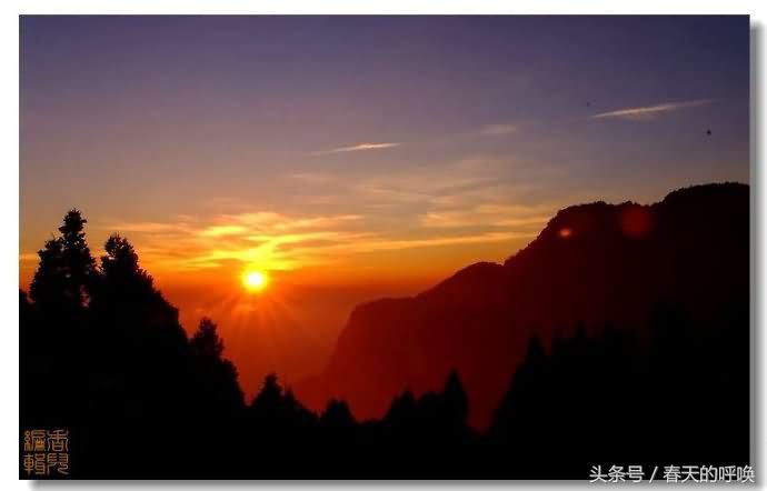 台湾阿里山仙境美如画,台湾省阿里山风景