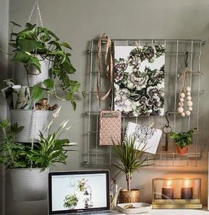 生活不容你猖狂，如何花最少的钱住得更好？