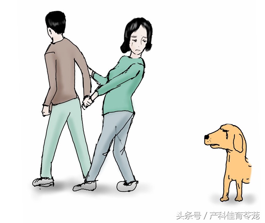 怀孕以后还能养狗吗,怀孕以后还能养狗呗