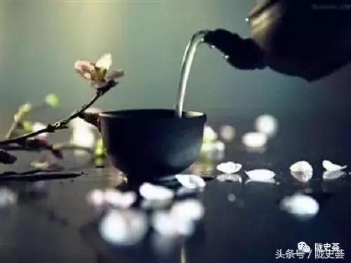 故宫金瓜贡茶是生普还是熟普,故宫珍藏的金瓜贡茶味道怎么样