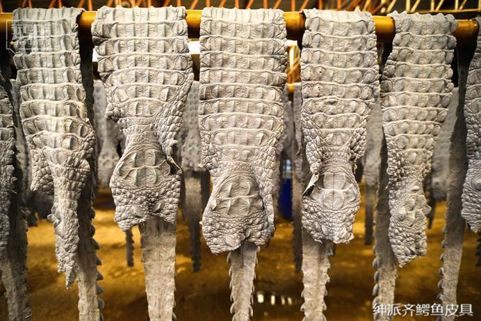 市场这么乱，鳄鱼皮具这么多，什么样的才是好的鳄鱼皮成品呢