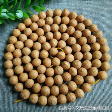 凤眼菩提和佛眼菩提区别,念青唐古拉介绍