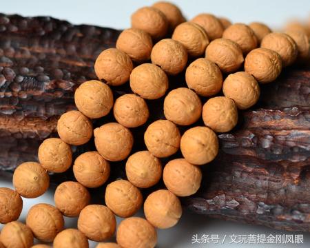 凤眼菩提和佛眼菩提区别,念青唐古拉介绍