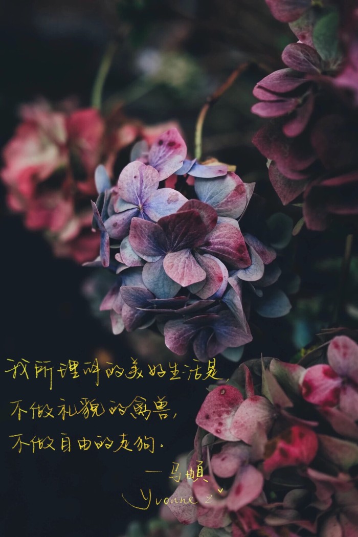 我喜欢在故事里旅行,终遇你忠于你