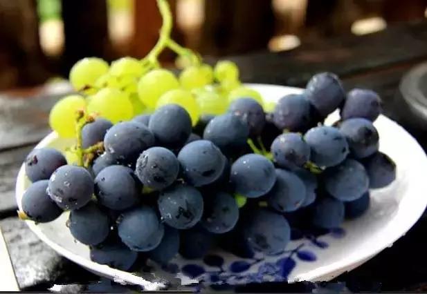 吃水果的最佳时间水果最好饭前吃,晚上吃什么水果不发胖还可以减肥