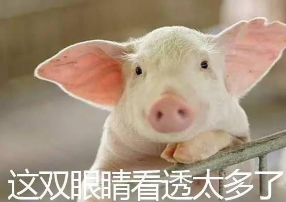 男票：“这个这个我知道！纪梵希小猪皮”,“猪皮你妹啊”!