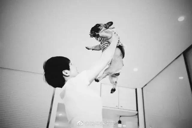 36㎡打造乐活居，你什么样，生活就什么样！