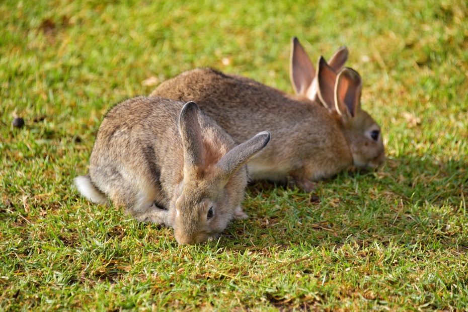 南大洋的深海,南大洋海域