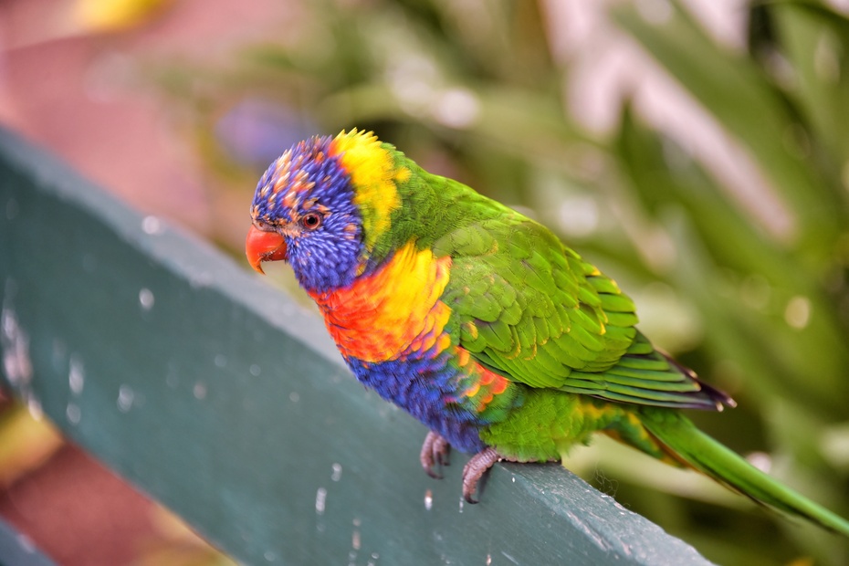 南大洋的深海,南大洋海域