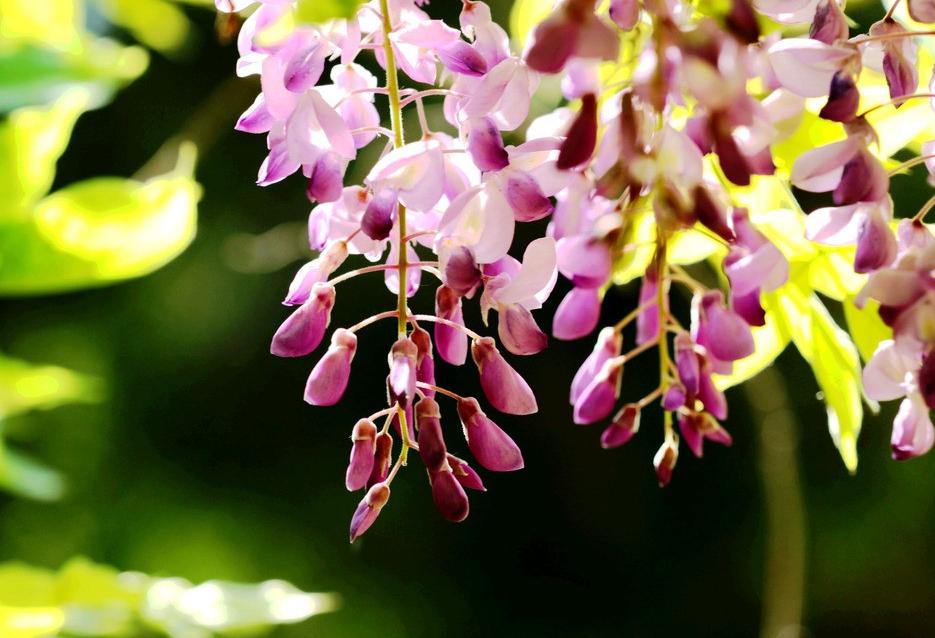 有一种岁月带给你的忧伤，因为你懂，所以，你泪流满面