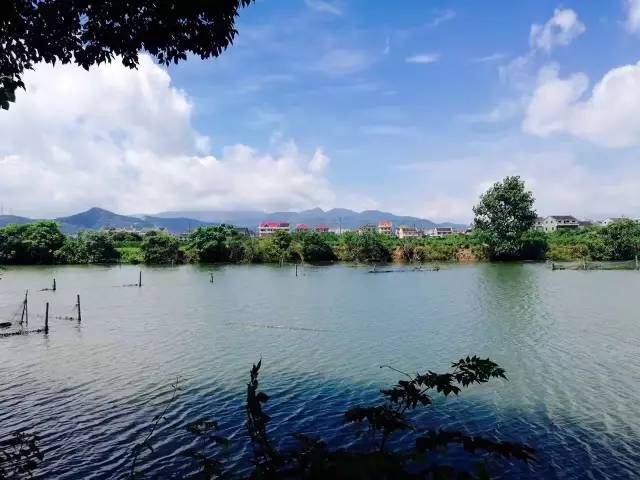 行走山水之间远离城市喧嚣,行走在浙江温州风景