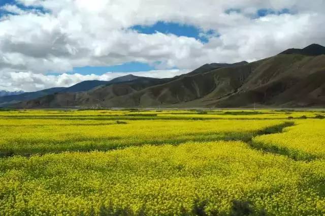 每个城市都有一个坑外地人的街吗,国内旅游防踩坑步行街