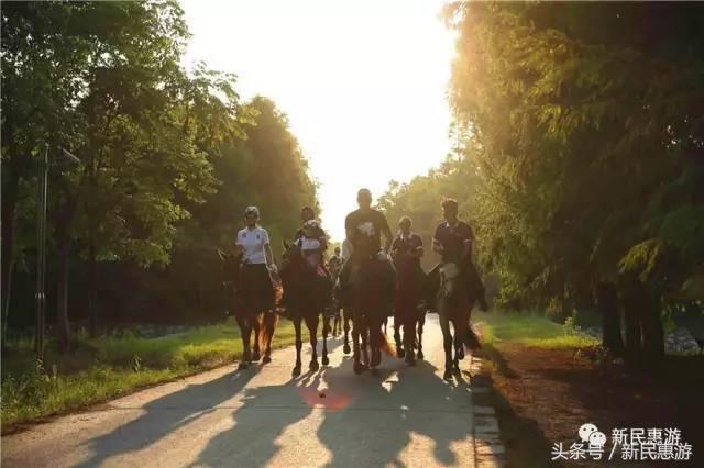 奉贤海湾:上海绝美的后花园