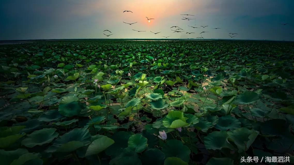洪泽湖淮上江南,人间的天堂洪泽湖