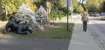 初春时节，西伯利亚寒气袭人，a国间谍史密夫执行任务时，失手被擒，其后被关在高原上的木屋内