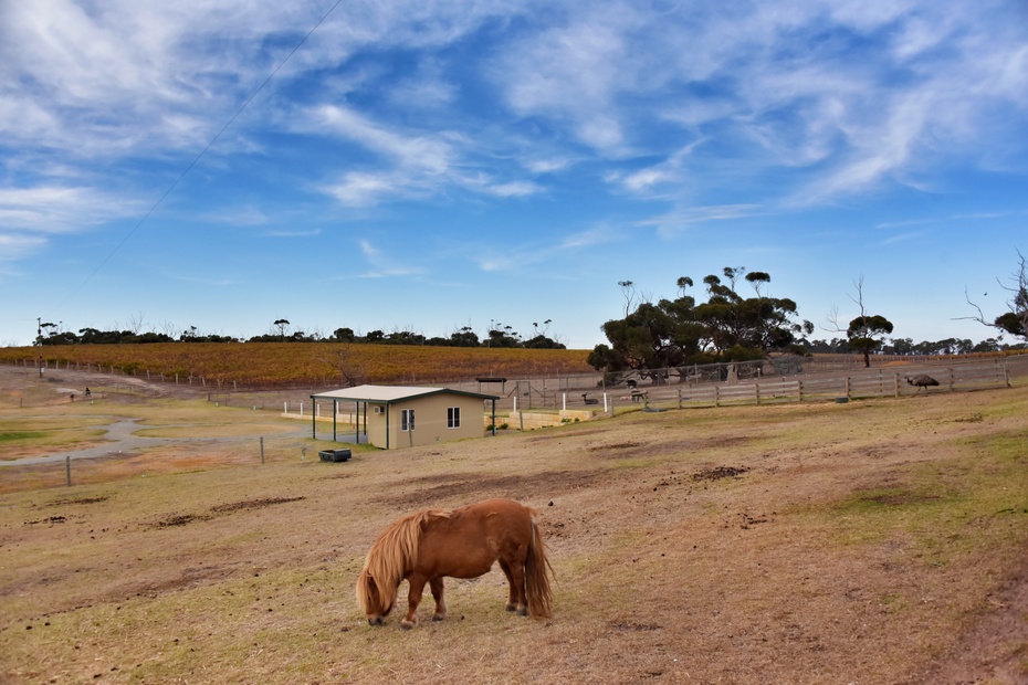 南大洋的深海,南大洋海域