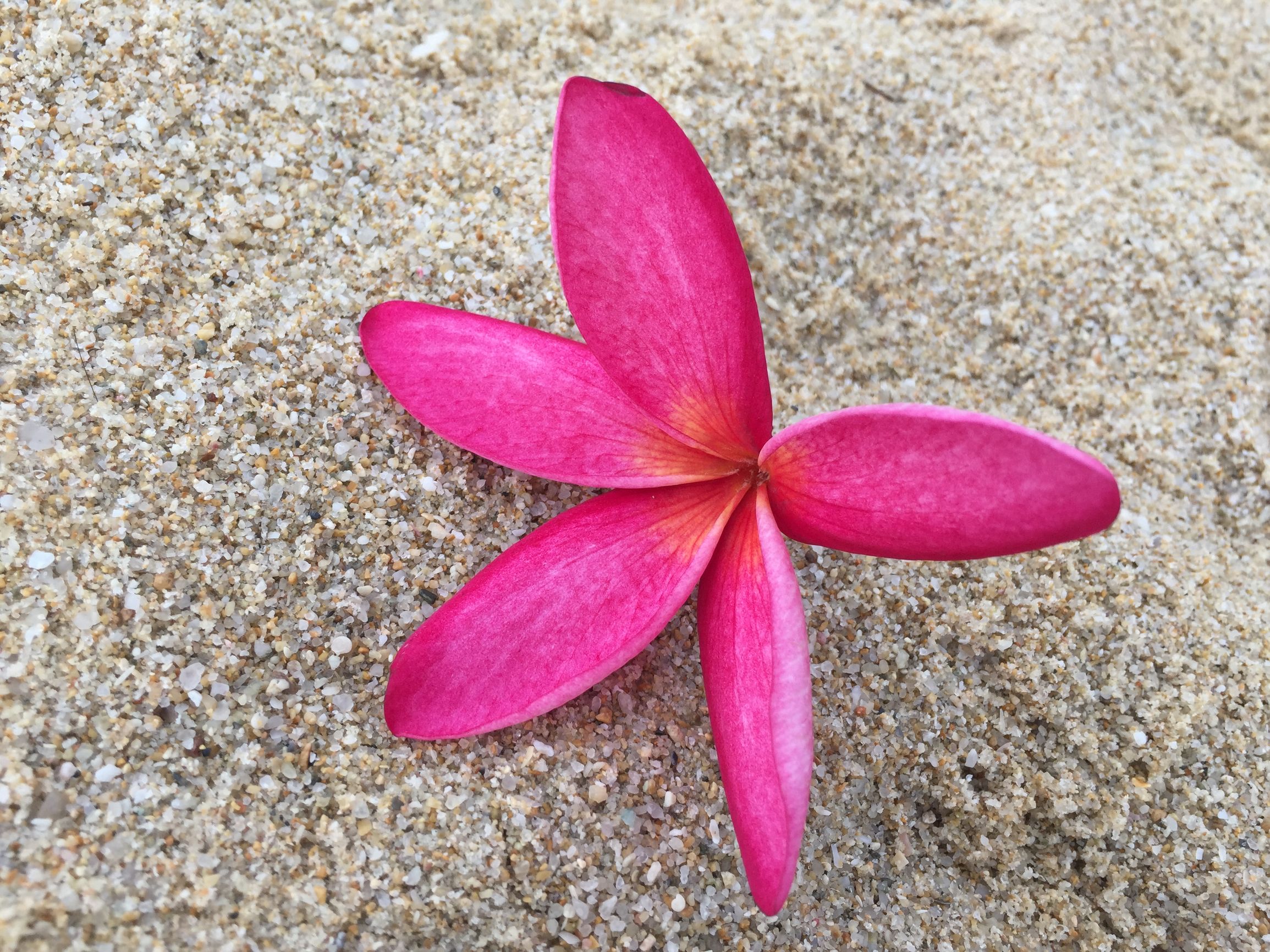 三亚湾和亚龙湾铂尔曼度假酒店,亚龙湾铂尔曼度假