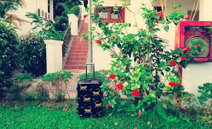 平价又好用的行李箱推荐,行李箱推荐测评性价比高不翻车