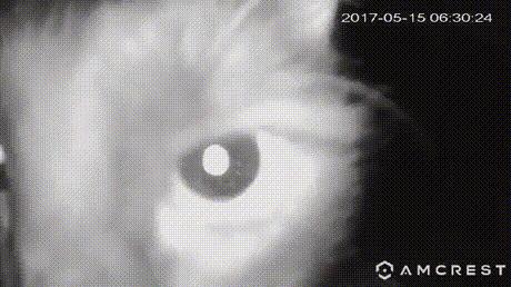 搞笑：看着她有没有想到什么？一不小心发现哆啦A梦的真实目的，看来这孩子肯定见过什么？