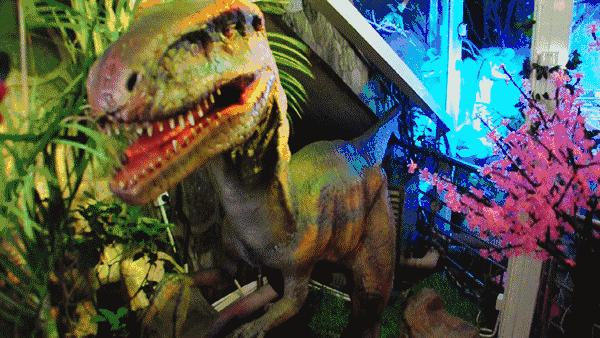 长洲岛竟有座半山望江恐龙主题酒店!吃住玩样样齐!