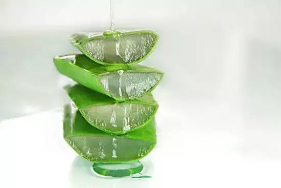 生活妙招：花友们自己制作芦荟面膜