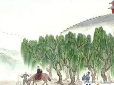 唐诗500首中谁的诗最多,5万首唐诗全集