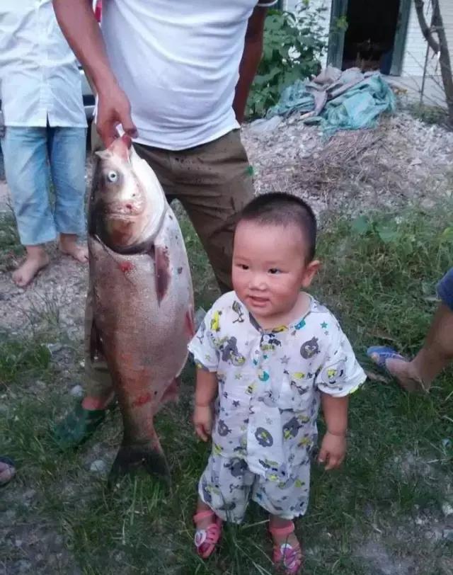 半价活动快来抢购,半价狂欢活动来袭