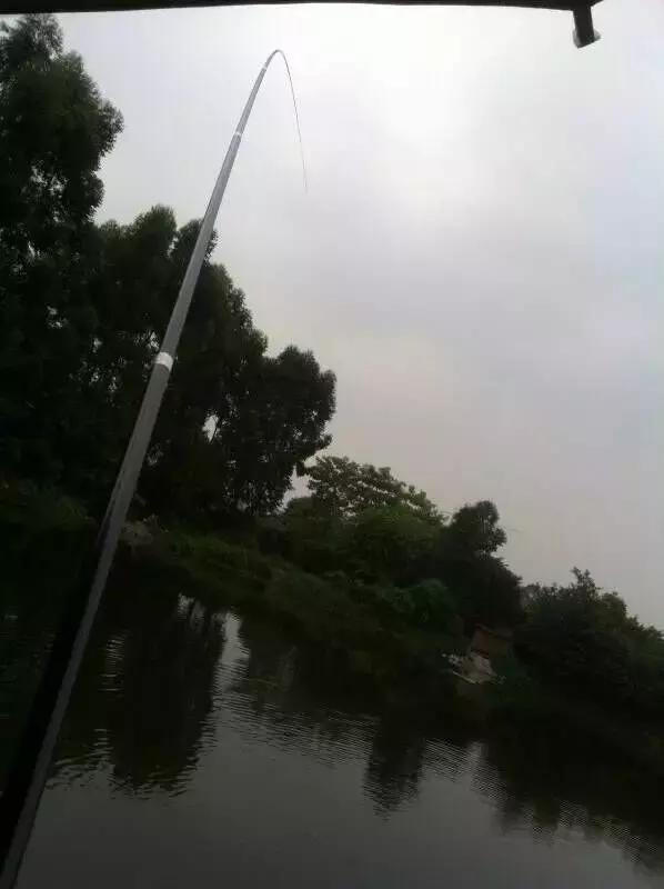 半价活动快来抢购,半价狂欢活动来袭