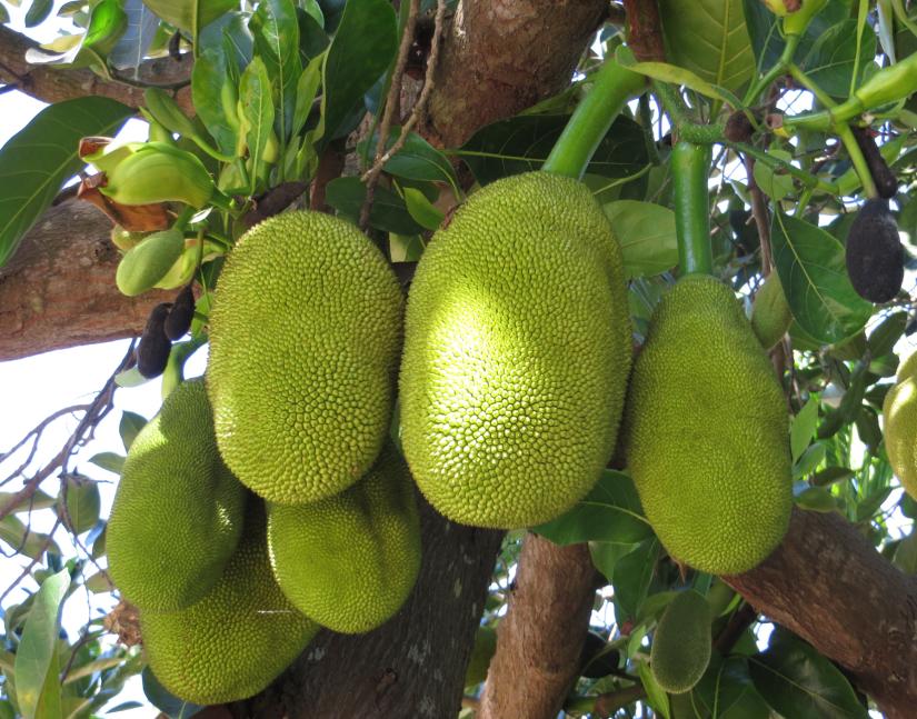 云南最值得住的酒店,云南最美温泉酒店