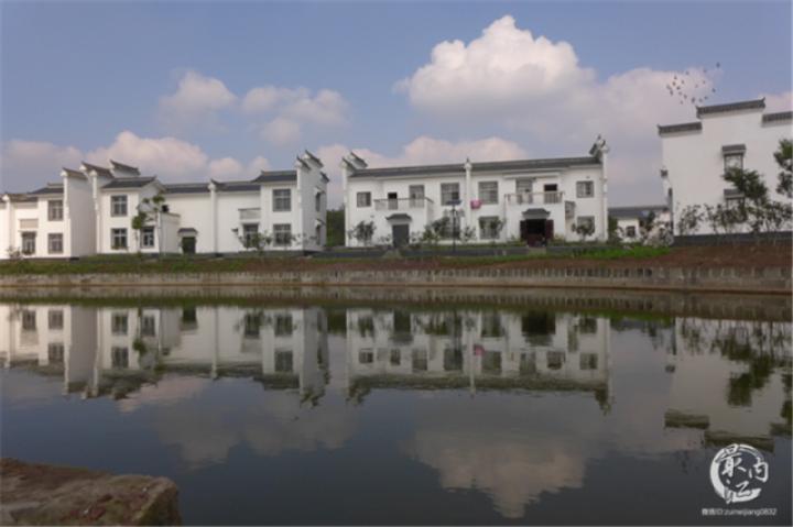 2020年威远无花果节,四川无花果节