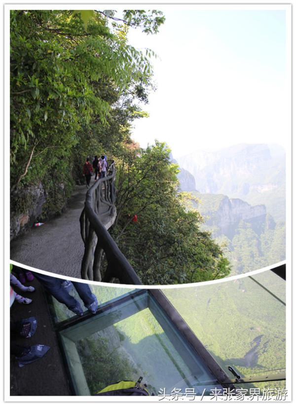 张家界森林公园黄龙洞,张家界天门山森林公园四天攻略