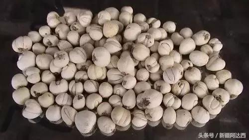 南京必买的十大特产零食,沈阳必买十大特产去哪买