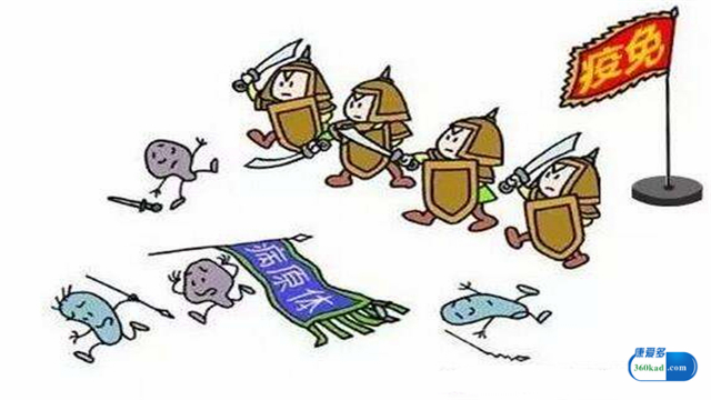 他克莫司胶囊吃多了有何副作用,吃他克莫司胶囊怎样降低副作用