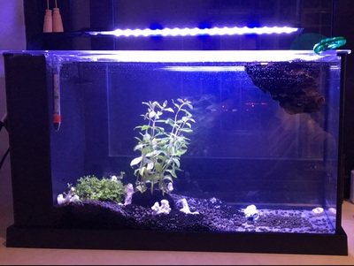 一套养鱼装备多少钱,新手养鱼买什么装备