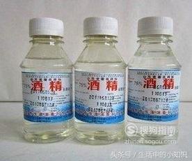 被蜜蜂蛰了红肿瘙痒怎么处理,孕妇被蜜蜂蛰了一下怎么处理