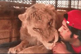 搞笑：看着她有没有想到什么？一不小心发现哆啦A梦的真实目的，看来这孩子肯定见过什么？