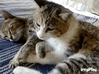 搞笑：看着她有没有想到什么？一不小心发现哆啦A梦的真实目的，看来这孩子肯定见过什么？